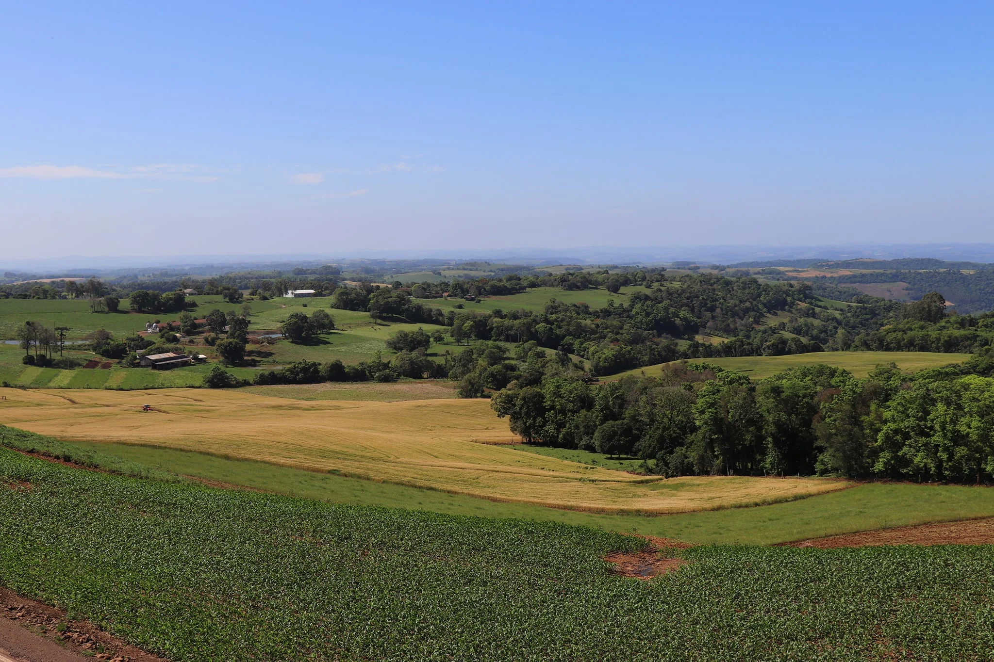 Foto do album Caiçara